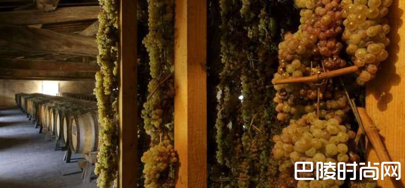 圣酒：我来自意大利托斯卡纳