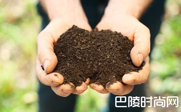 土壤类型与葡萄品种速配指南 土壤类型与葡萄品种速配指南