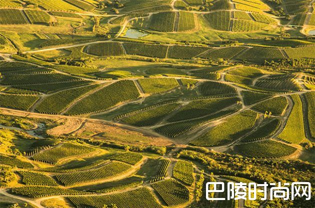 乌拉圭葡萄酒怎么样? 乌拉圭葡萄酒怎么样?