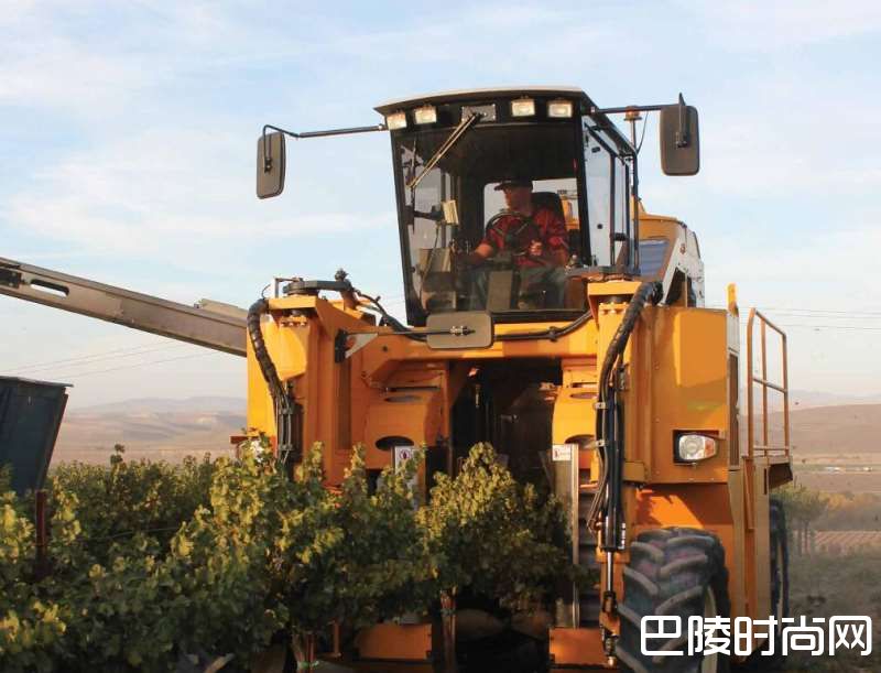 新一代葡萄采收机更趋轻柔