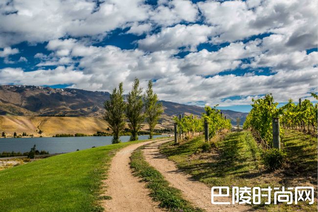 新西兰鲜为人知的佳酿
