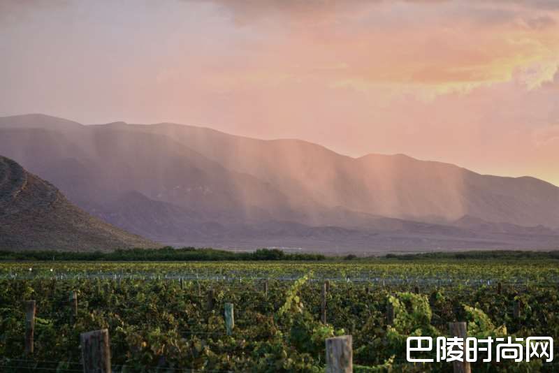 小谈墨西哥产酒国 小谈墨西哥产酒国