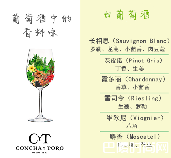 葡萄酒中的香料味 葡萄酒中的香料味