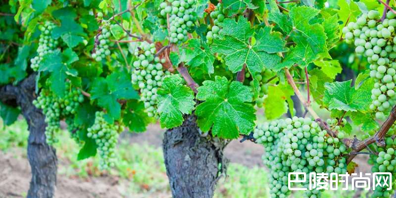 探索卢瓦尔河谷 探索卢瓦尔河谷