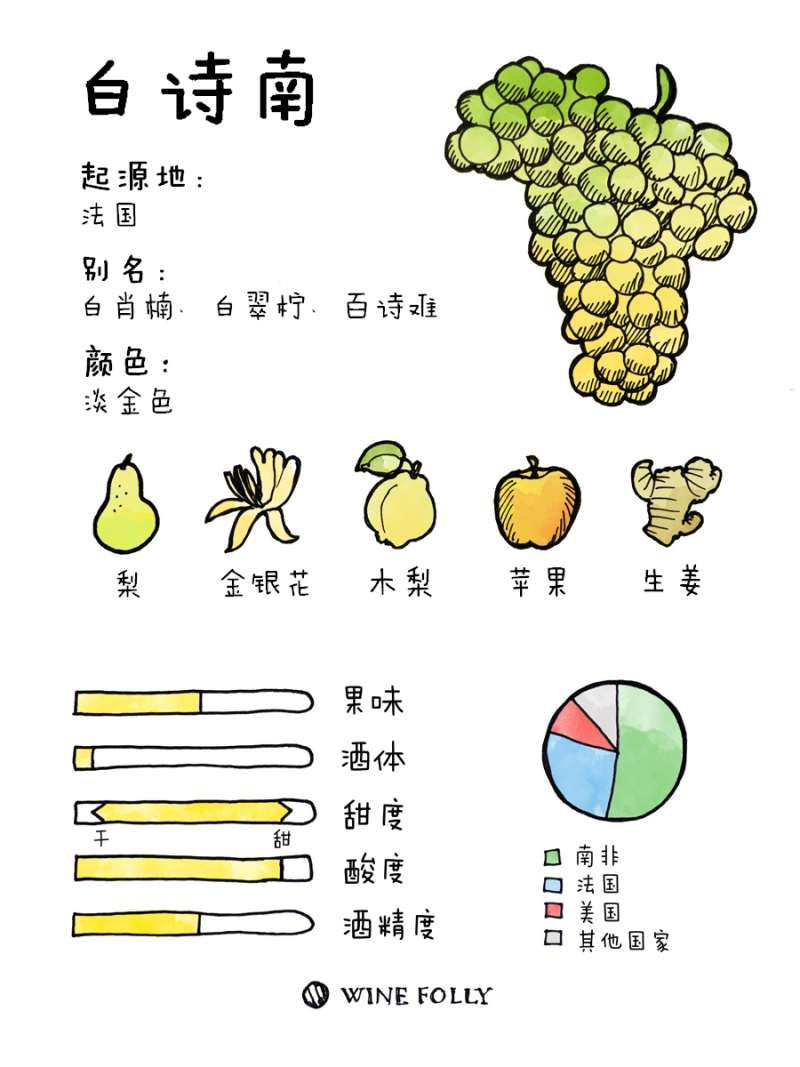 大家好，我叫白诗南