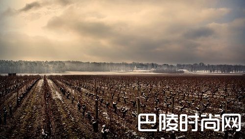 高性价比格拉夫列级名庄,2016年奥利弗酒庄红葡萄酒 高性价比格拉夫列级名庄,2016年奥利弗酒庄红葡萄酒