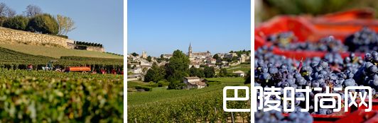 圣埃美隆一级B等酒庄嘉芙丽发布2016期酒价格