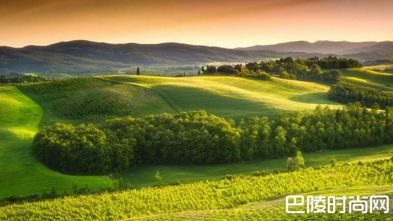 托斯卡纳艳阳下的迪雅曼酒庄 托斯卡纳艳阳下的迪雅曼酒庄
