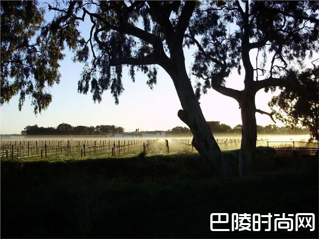 南澳一角的秘密产区 南澳一角的秘密产区