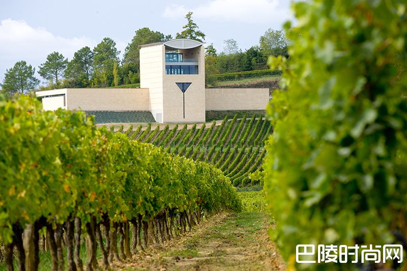 “众星捧月”酿好酒，圣埃美隆列级庄富爵发布2016期酒