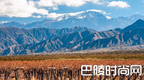 十大葡萄酒旅游新去处，酒粉请收下！