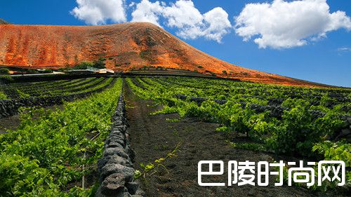 十大葡萄酒旅游新去处,酒粉请收下! 十大葡萄酒旅游新去处,酒粉请收下!