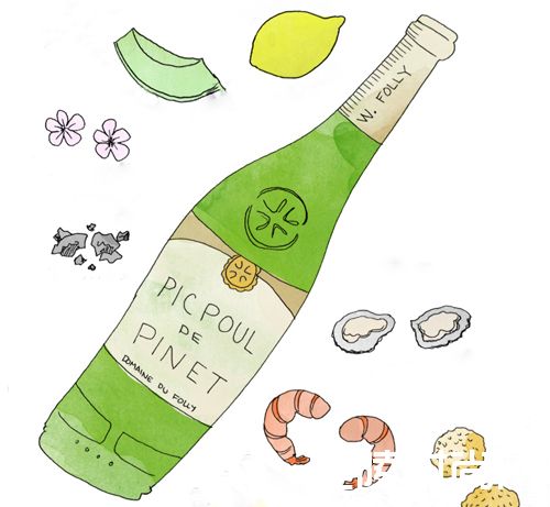 鲜为人知的朗格多克白葡萄酒 鲜为人知的朗格多克白葡萄酒