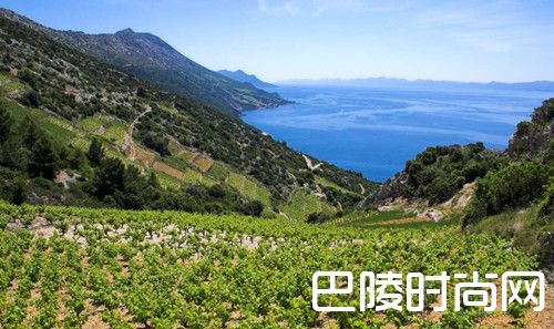 十大葡萄酒旅游新去处,酒粉请收下! 十大葡萄酒旅游新去处,酒粉请收下!