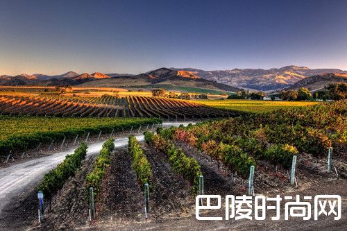 十大葡萄酒旅游新去处,酒粉请收下! 十大葡萄酒旅游新去处,酒粉请收下!