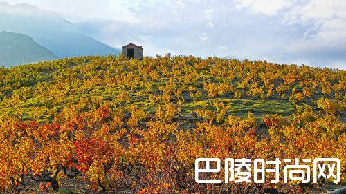 十大葡萄酒旅游新去处,酒粉请收下! 十大葡萄酒旅游新去处,酒粉请收下!