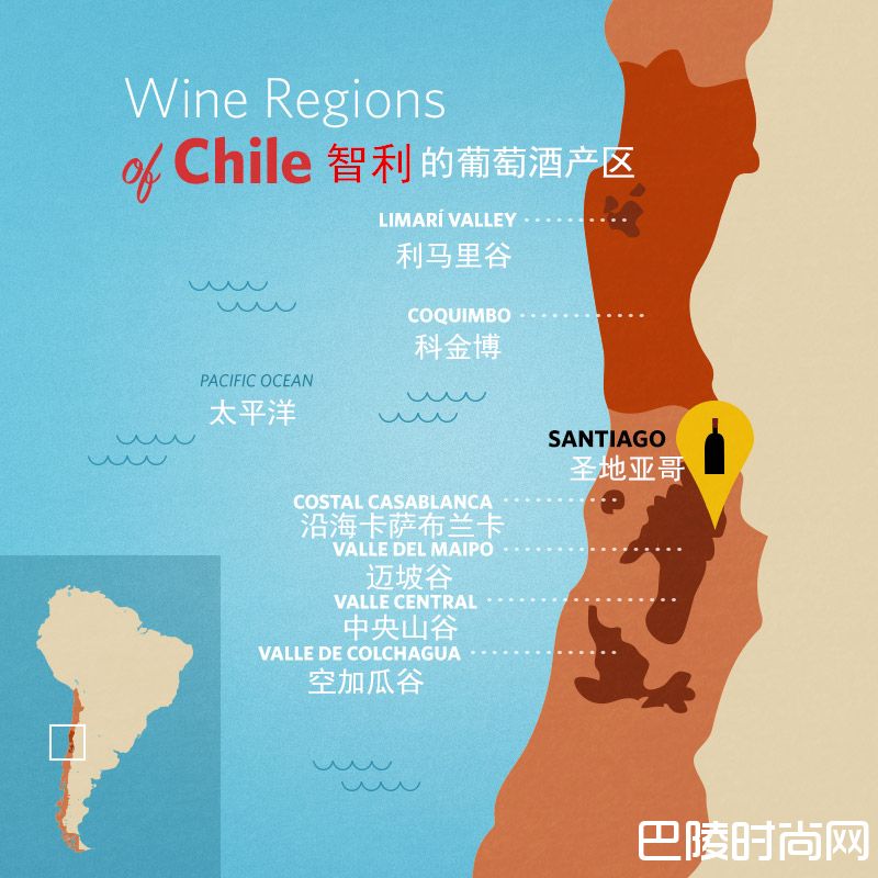 智利葡萄酒：品味智利的独特风土