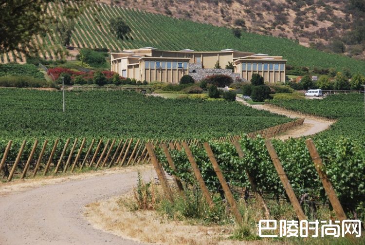 智利葡萄酒：品味智利的独特风土