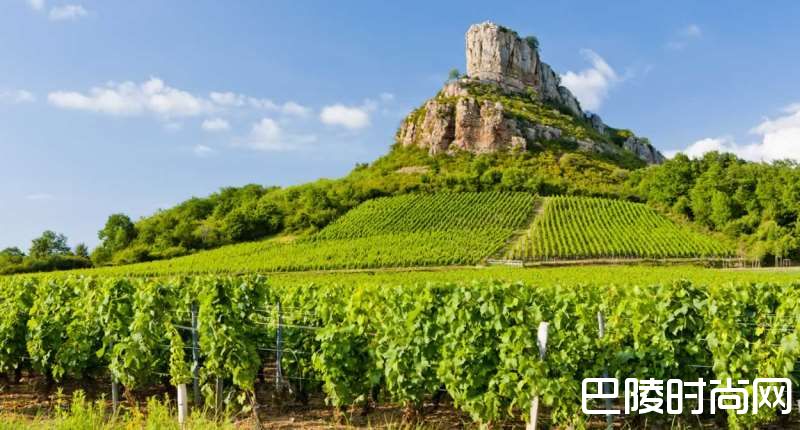 勃艮第葡萄酒简史
