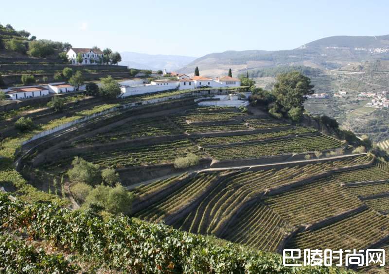 波特酒名庄飞鸟园发布2015年份波特