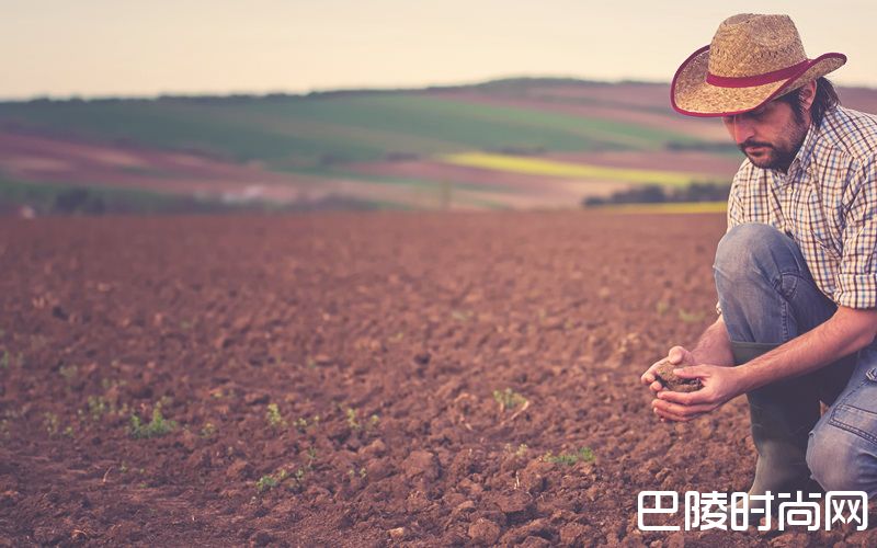 论土壤对葡萄生长的影响 论土壤对葡萄生长的影响