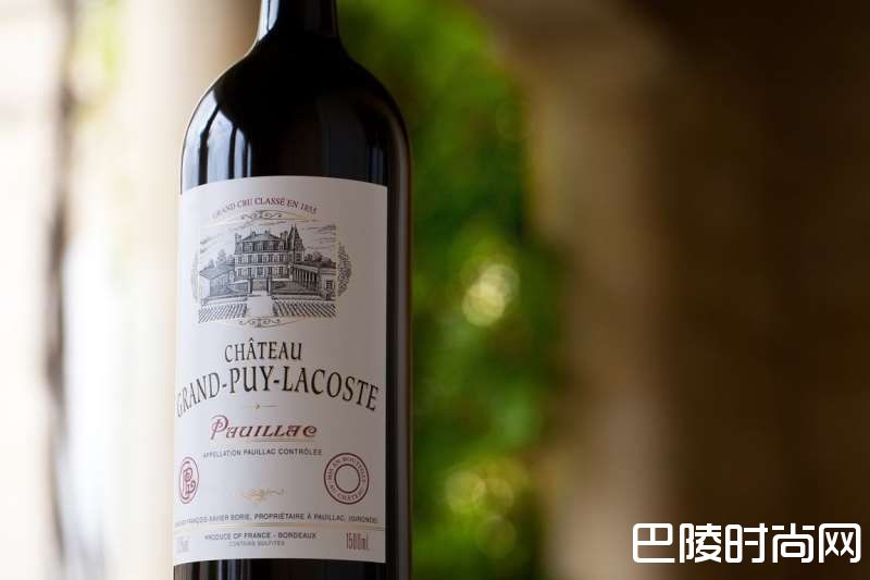 连续7年“性价比之最”，拉古斯2016年好评如潮