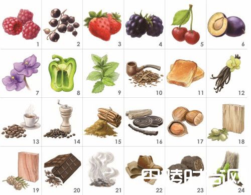 给葡萄酒入门者的10条建议 给葡萄酒入门者的10条建议