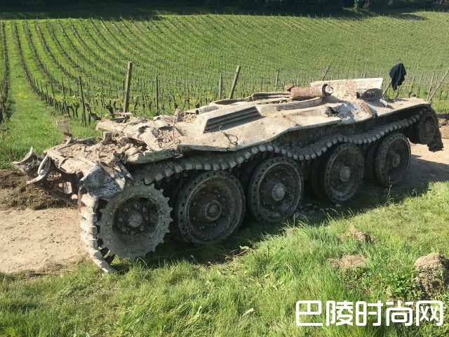 英国一酒庄葡萄园内惊现二战坦克