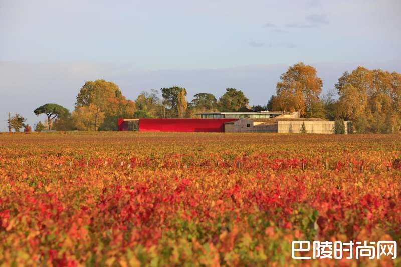 口感丰富，令人沉醉，尽在2016多米尼克