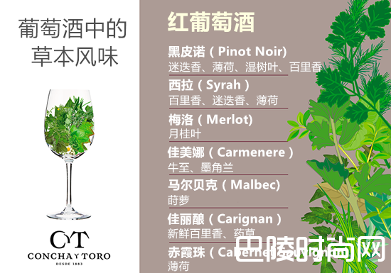 探索葡萄酒中的草本风味 探索葡萄酒中的草本风味