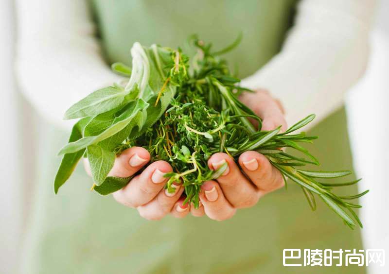 探索葡萄酒中的草本风味 探索葡萄酒中的草本风味