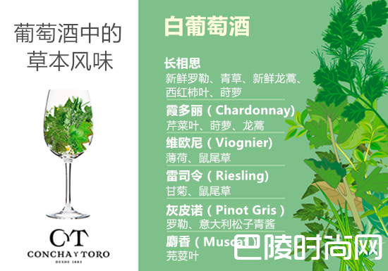 探索葡萄酒中的草本风味 探索葡萄酒中的草本风味