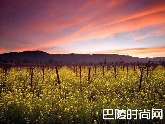 聊聊波尔多酒庄买卖那些事儿 聊聊波尔多酒庄买卖那些事儿