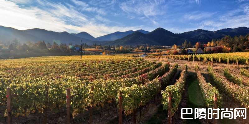 关于俄勒冈州葡萄酒的10个事实