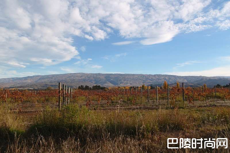 红酒世界一周资讯回顾：6月5日至6月9日