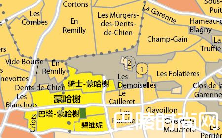 巴塔-蒙哈榭:另一个世界的霞多丽 巴塔-蒙哈榭:另一个世界的霞多丽