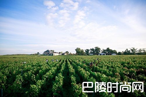 实力彰显，2016年份高柏丽品质创新高