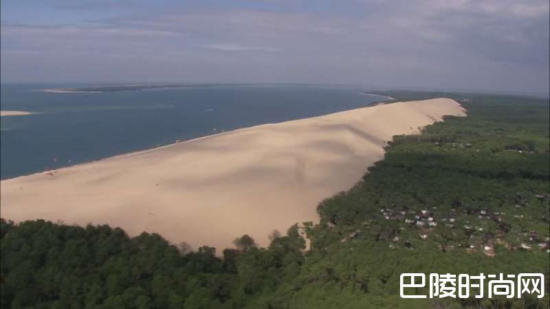 成就了波尔多的人造森林