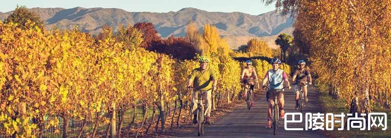 葡萄酒爱好者的避暑好去处 葡萄酒爱好者的避暑好去处