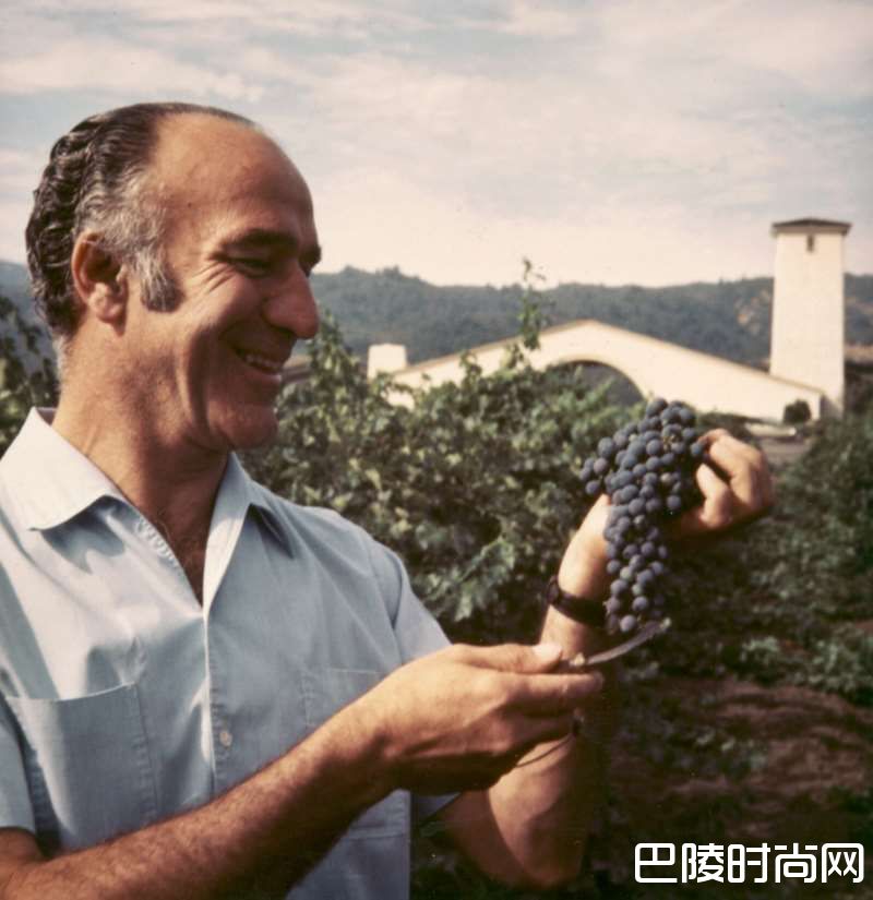 蒙大维家族：家业内传