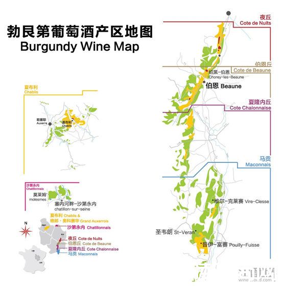 产区与年份：助你轻松挑选勃艮第佳酿