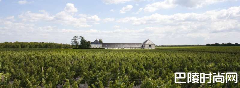 2016宝叶实惠上线，帕克团队盛赞“棒极了”