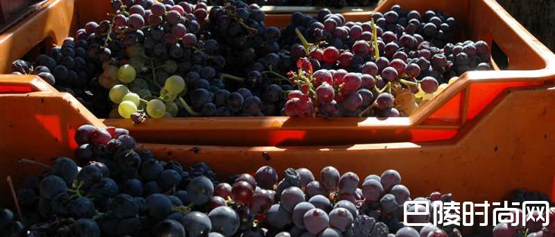 一路向南，去西西里岛