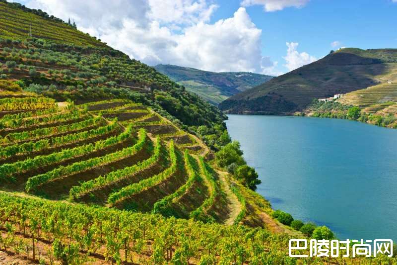 来自甜酒产区的干型酒