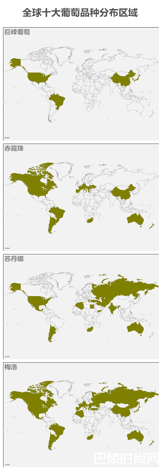 读图迅速了解全球葡萄种植分布 读图迅速了解全球葡萄种植分布