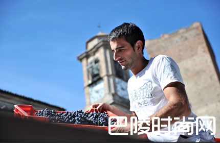 2011年意大利葡萄酒产区年份报告 2011年意大利葡萄酒产区年份报告