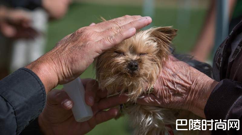 图说：生活在酒庄的可爱生灵