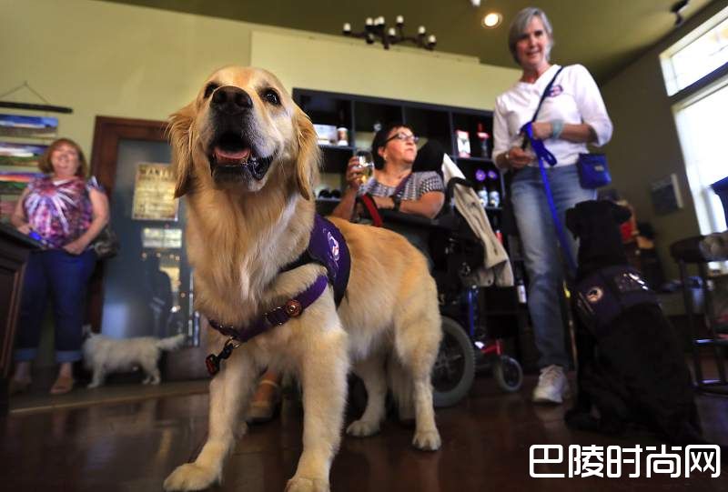 图说：生活在酒庄的可爱生灵