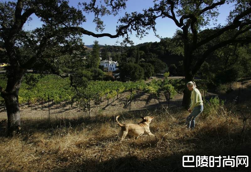 图说:生活在酒庄的可爱生灵 图说:生活在酒庄的可爱生灵