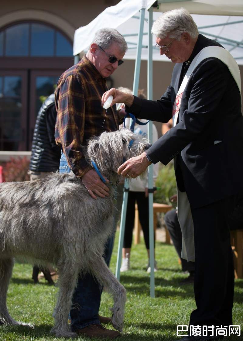 图说：生活在酒庄的可爱生灵